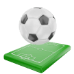 Sport Betting